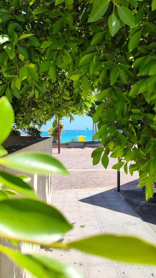 Fabelo Apartment, Puerto Del Rosario Puerto del Rosario  Eksteriør billede